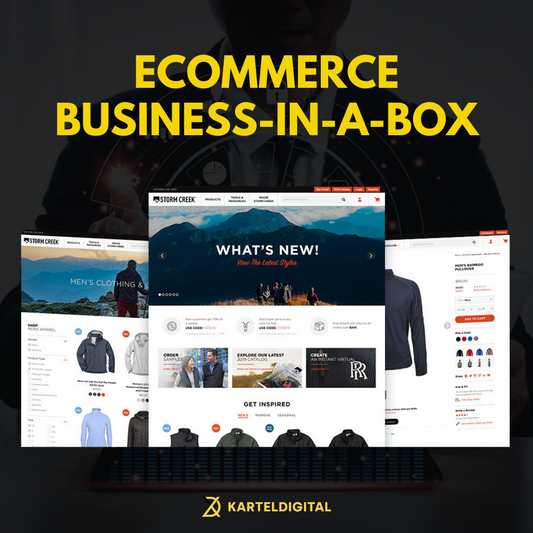 Ecommerce Business-In-A-Box